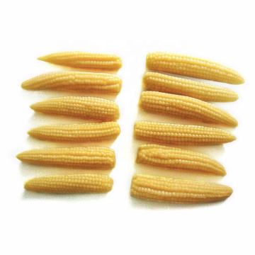 Canned baby corn in brine